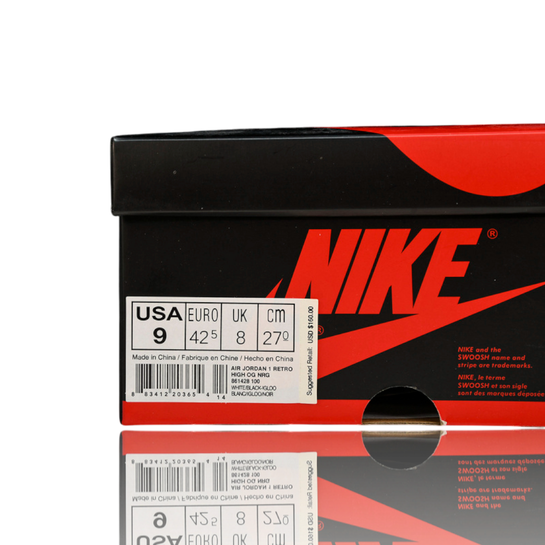 AJ1 Retro High 'Igloo'