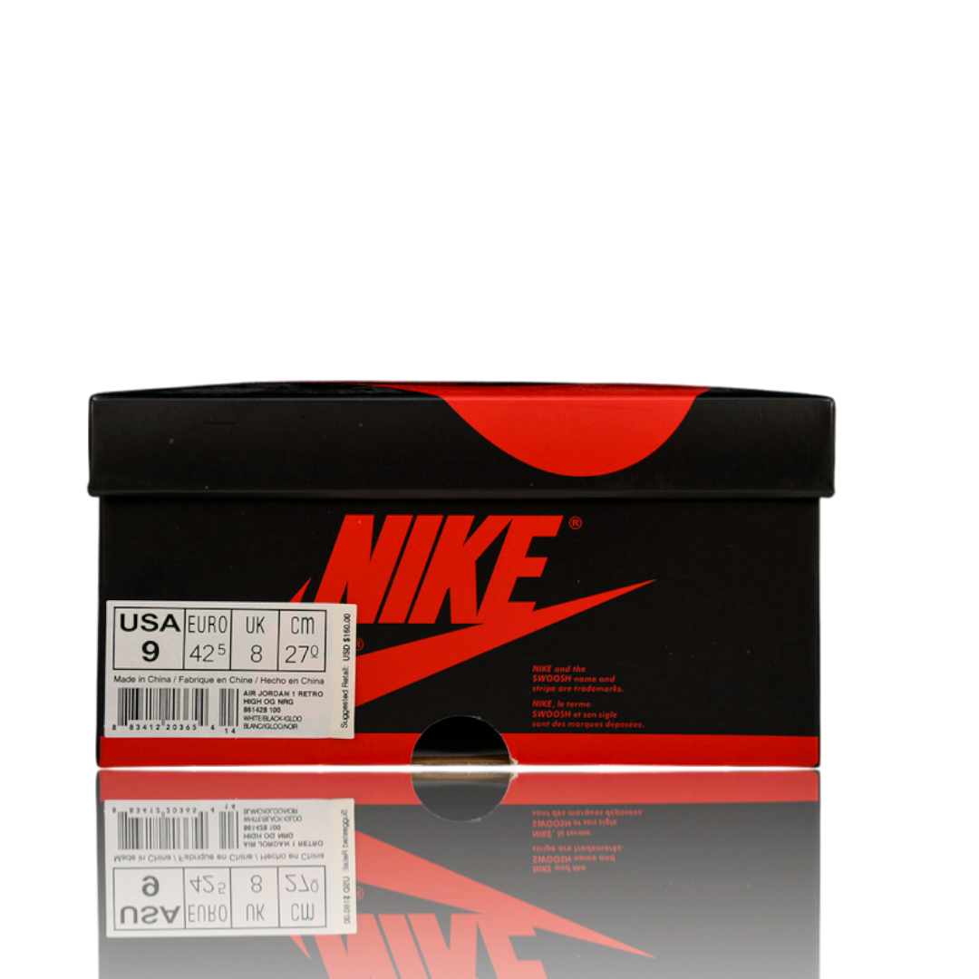 AJ1 Retro High 'Igloo'